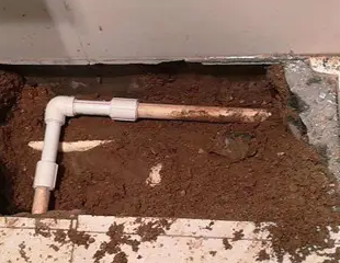 潼南测漏水哪家好