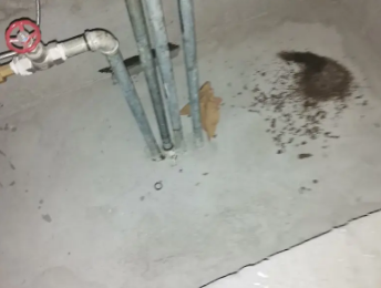 潼南卫生间测漏水价格明细