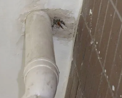 潼南漏水检测哪家好